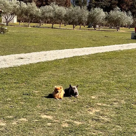 Del Cargol Hébergement de vacances